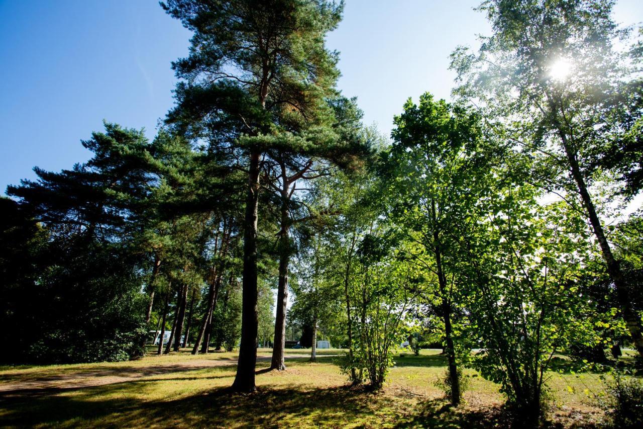 Naturcamping Lueneburger Heide - Chalets & Tiny Haeuser Soltau Exterior foto